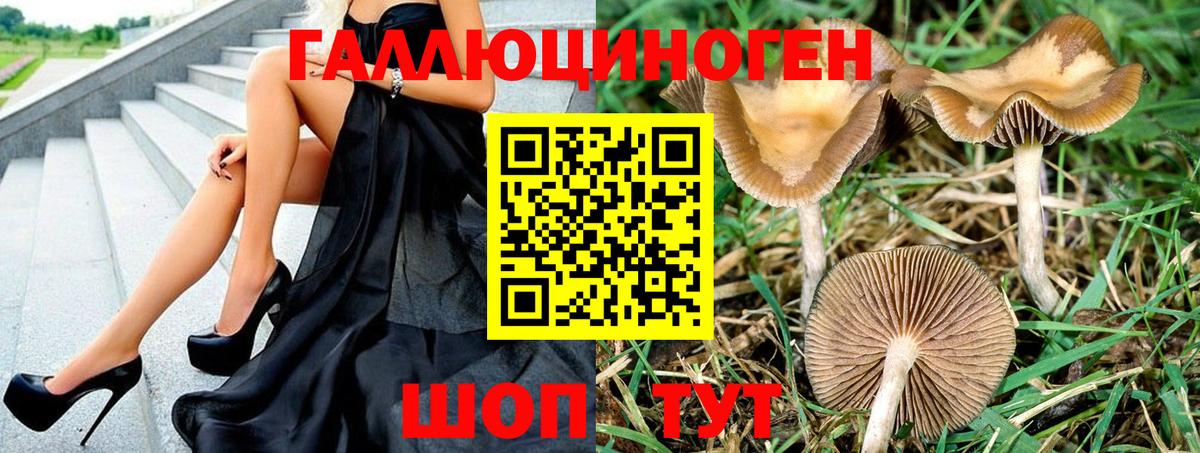 Псилоцибиновые грибы Psilocybine cubensis  Вход с VPN  купить   Кизляр 