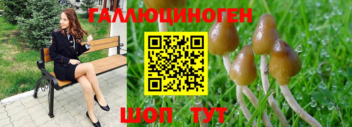 Псилоцибиновые грибы ЛСД Кизляр